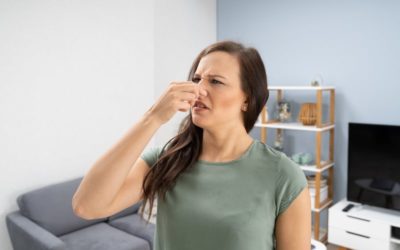 Furnace Odors and What They Mean in Chesapeake, VA